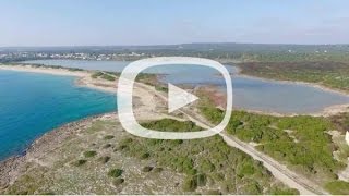 Torre Colimena e le Saline vista drone [upl. by Salomon]