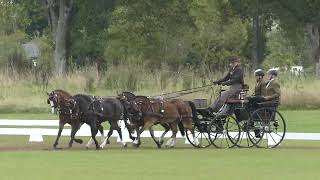 05 HAMMINK Marijke NED CAIO4 P4 Donaueschingen Part Dressage Four in hand ponies 13 09 2024 [upl. by Feltie]