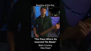 The Place Where He Inserted the Blade  Black Country New Road  bass of the day twitch music [upl. by Knudson]