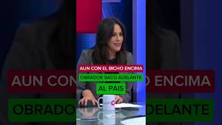 AMLO SACO AL PAIS ADELANTEAUN CON EL BICHO [upl. by Helbona]