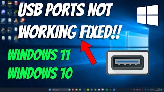 USB Ports Not Working Or Not Recognized On Windows 1110 [upl. by Kcirdneh]