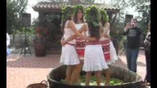 Fete dansand in struguri la Cramele Recas 2flv [upl. by Annad]