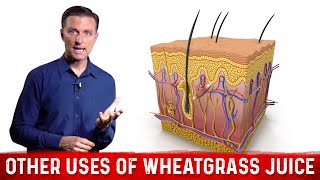 Benefits and Uses of Wheatgrass Juice Powder for Skin Problems – Dr Berg [upl. by Akoyn]