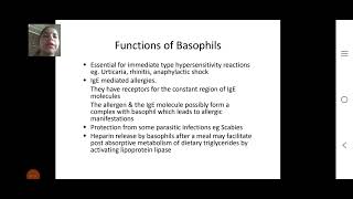 Basophile and Monocytes by Himani Sharma [upl. by Tocci]