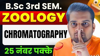 ChromatographyBSc 3rd Semester ZoologyBe DKDian [upl. by Akiemat]