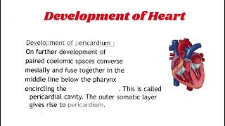 Development of Heart  Development of Pericardium developmentalbiology [upl. by Anahc]