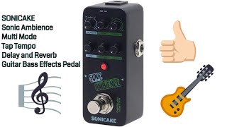 SONICAKE Sonic Ambience Multi Mode Delay and Reverb Effects Pedal [upl. by Nager]