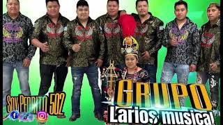 Grupo Larios musical mishito mío 🍺🫡🇬🇹 [upl. by Ahsiram78]