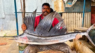 KASIMEDU SELVAM INDO PACIFIC SAILFISH CUTTING VIDEO CUTTING FOCUS 🔪 [upl. by Harwilll]