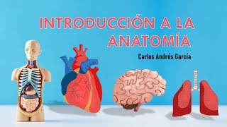 ¡INTRODUCCIÓN A LA ANATOMÍA HUMANA [upl. by Anawahs444]