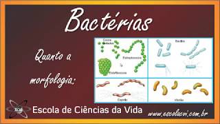 AULA DE MICROBIOLOGIA E PARASITOLOGIA DO CURSO TÉCNICO EM ENFERMAGEM PRESIDENTE TANCREDO NEVES [upl. by Sessilu283]