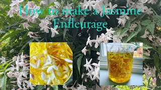 How to make Jasmine Enfleurage [upl. by Hasan388]