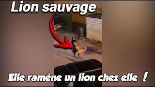 Elle ramène un lion chez elle les habitants du quartier hallucinent [upl. by Arriek]