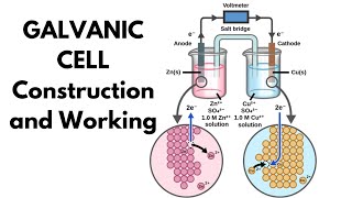 Galvanic cell l Construction and Working [upl. by Nilram]