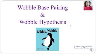 WOBBLE HYPOTHESIS [upl. by Aguste93]