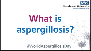 What is Aspergillosis [upl. by Birecree]