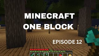 MINECRAFT ONE BLOCK EPISODE  12 [upl. by Zeni711]