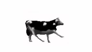 Polish Cow Full Song [upl. by Aylat]