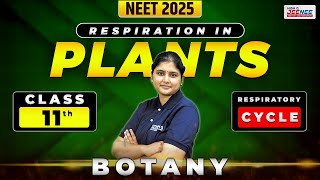 🌿 Respiration in Plants  Respiratory Cycle Explained  neet2025 class11th botany [upl. by Eniaral]