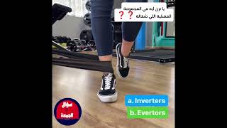 ⏪ ياترى ايه هي المجموعة العضلية اللي شغالة في التمرين ده 👇👇❓❓👈 هل هي ال inverters ام ال evertors 🤔 [upl. by Hteboj]