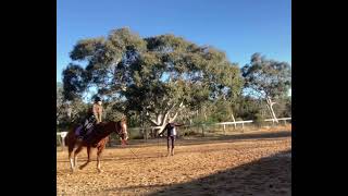 How I Teach Rose Trot  Part 2 [upl. by Margette]