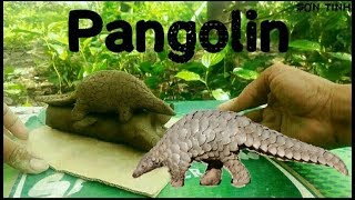 Challenge to make a cute super pangolin from clay  SƠN TINH Official part 21 [upl. by Dinsmore]