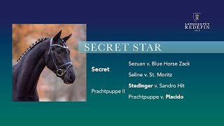 Secret Star v Secret  Stedinger Oldenburger Prämienhengst  2019 [upl. by Fernand]