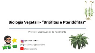 Biologia Vegetal I quotBriófitasquot e quotPteridófitasquot [upl. by Hedley]