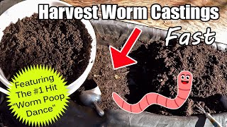 Quick amp Easy Way To Harvest  Separate Worm Castings From The Worms [upl. by Filide]