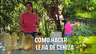 Como hacer LEJÍA de ceniza el mejor abono foliar qué hará que tus árboles exploten de frutas [upl. by Darin872]