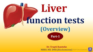 1 LFT Liver Function Tests  Overview  Organ Function Tests  Biochemistry  NJOY Biochemistry [upl. by Booma]