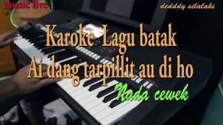 ai dang tarpillit au di ho KARAOKE LAGU BATAK VOCAL WANITA [upl. by Burkhard153]