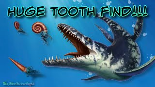 The NEW Ladonia Fossil Park  HUGE tooth 🦕 FossilTeeth [upl. by Odlanar9]