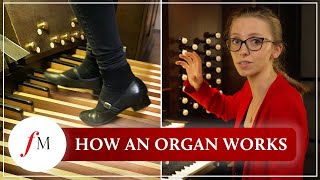 How does a pipe organ actually work  Anna Lapwood  Classic FM [upl. by Bigner]