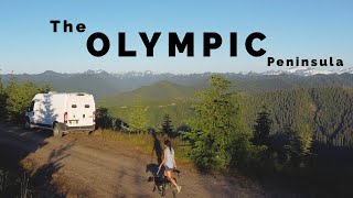 VAN LIFE  BEACHES WILDLIFE AND CAMPING  Olympic Peninsula Washington [upl. by Bonnell]