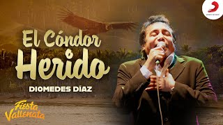 El condor herido Diomedes Díaz  Video Oficial [upl. by Carilla]