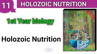 Holozoic Nutrition  chapter 11  1st year bio new book [upl. by Caryn204]