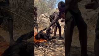 Cooking a giant baboonfoodbaboonAfricahadzabetribe [upl. by Nuncia]