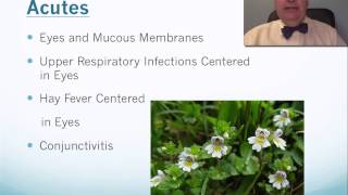 Euphrasia Tip Video [upl. by Burnie]