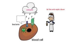 antiseptic vs disinfectant [upl. by Anirak]