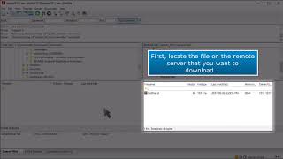 FTP How to Download Files Using FileZilla [upl. by Ronnie]