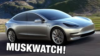 MUSKWATCH Tesla Model 3 and the Gigafactory Revealed [upl. by Ynamad]