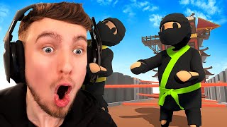 Trying to Complete a NINJA Level  Human Fall Flat Gameplay [upl. by Cookie867]