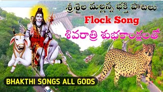 Srishaila Mallana Songs 2024  శ్రీశైల మల్లన్నభక్తి పాటలు  Shivarari Special Flock Song [upl. by Iruyas916]