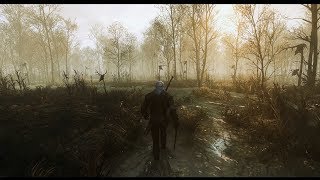 Witcher 3 Extreme modded graphic gameplay  Poppy Redux Reshade  Phoenix Lighting Mod 101 [upl. by Hermione]