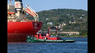 Listen to this TugShip Chat The Federal Yukon arrives Duluth get the Industry Info on the Chat [upl. by Maze]