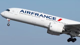 The Sad Truth About The Air France Flight 447 Crash [upl. by Meehsar]