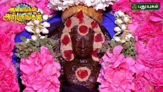 Pongu Saneeswaran Temple Thirukkollikadu  Aalayangal Arputhangal  15042017 [upl. by Violet]