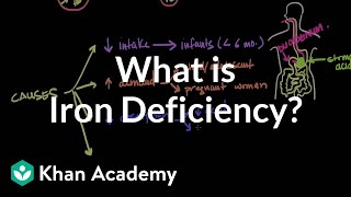 What is iron deficiency  Hematologic System Diseases  NCLEXRN  Khan Academy [upl. by Sadnak]