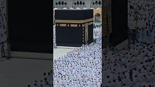 Kaaba Live🔴 Today  7 November 2024  tawafekaaba kaabalive ytshorts makkahofficial [upl. by Tikna]